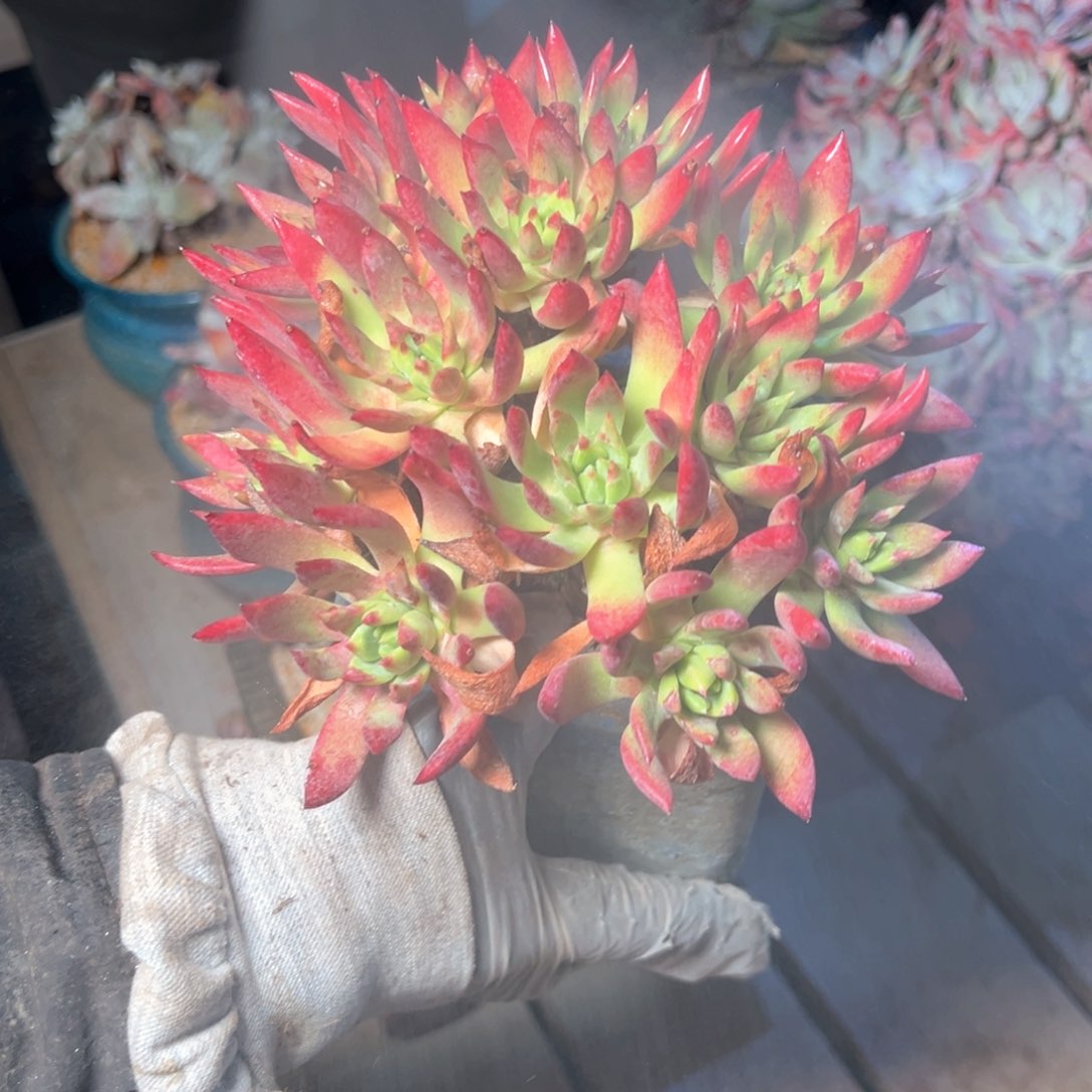 7377哈哈哈哈哈哈哈哈