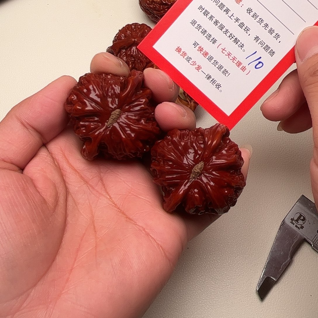 110。 42尺。 白狮子