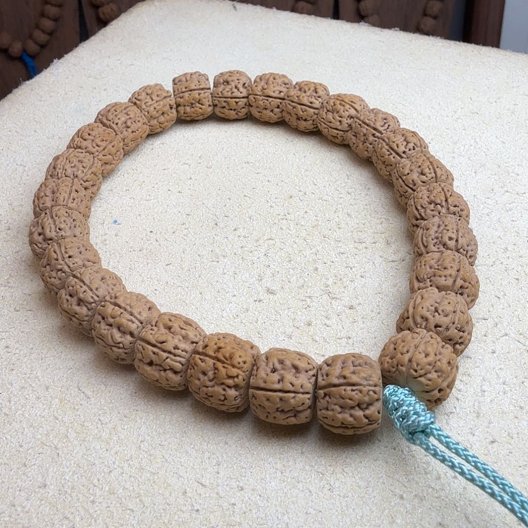菩提盘龙王（一图一物）