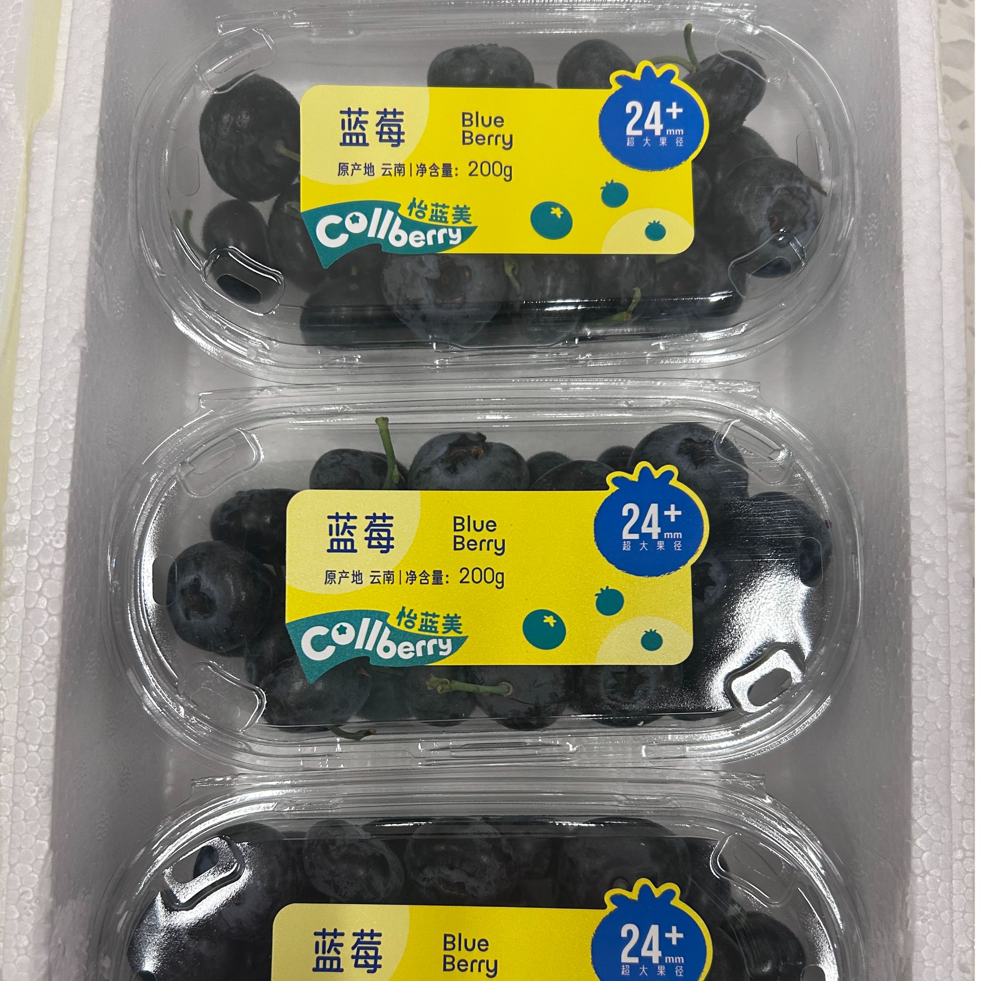 【超哥优选】西班牙42 蓝莓 总净重1.1斤 1盒（泡沫箱）