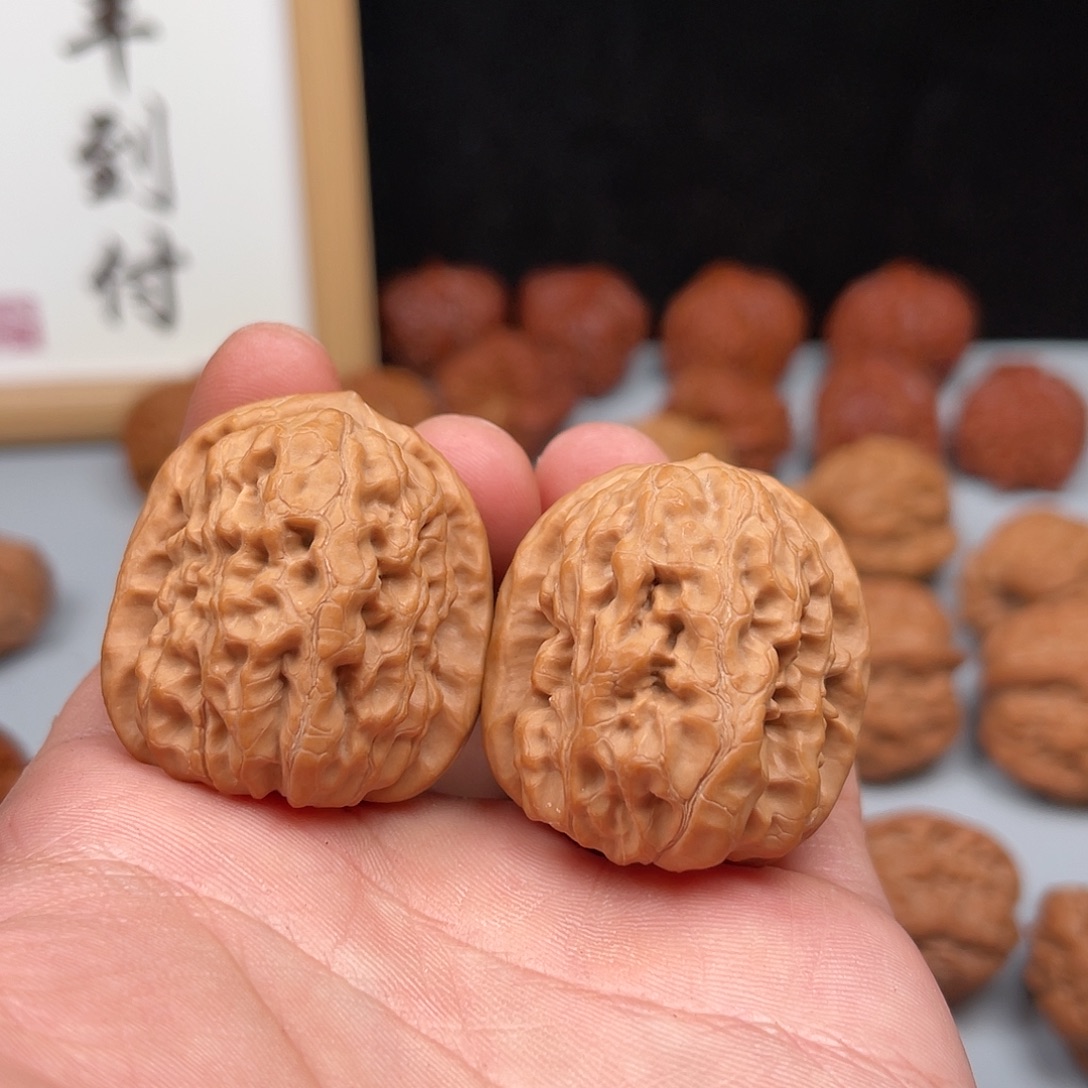 核桃原树承德霸王