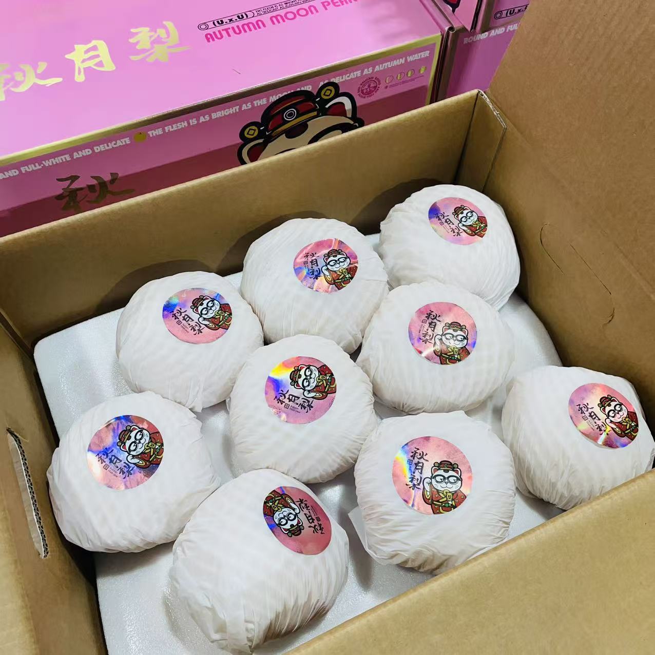 烟台莱阳  秋月梨  新鲜现摘当季水果   净重5斤~5.5斤【五颗装】