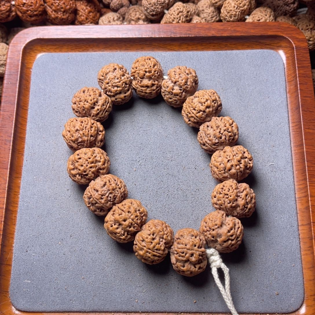 菩提籽类19号金刚菩提飞碟梅花23+