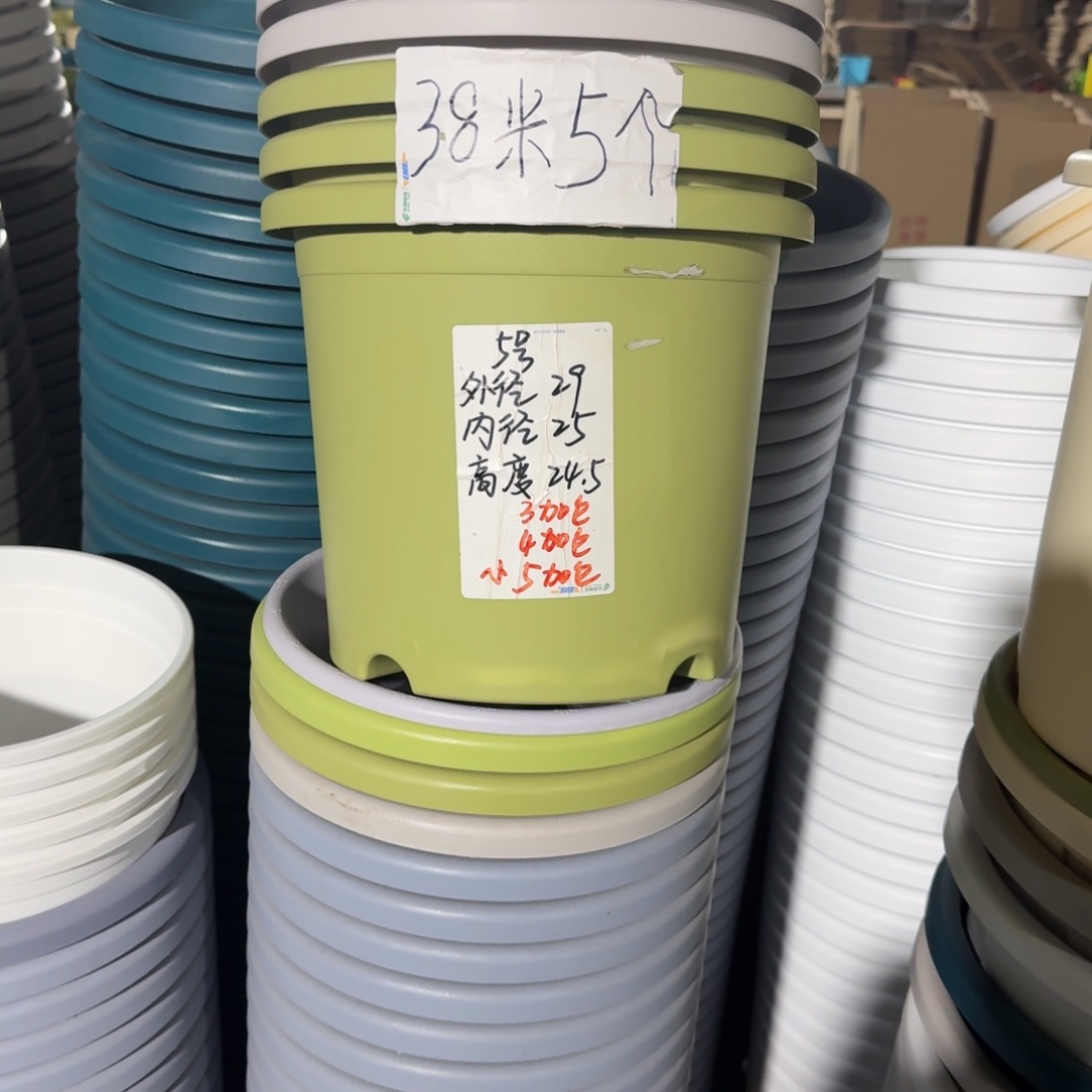 微瑕果绿色5号无拖6个