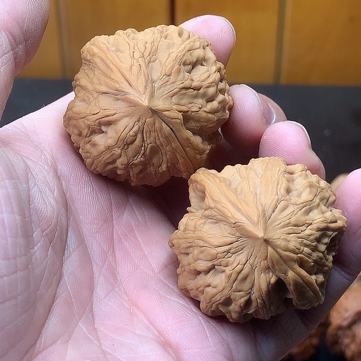 蒹***葭文玩核桃吊坠大沽石毕业对