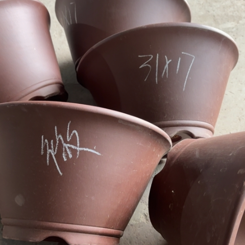 110-5。        微瑕31-17