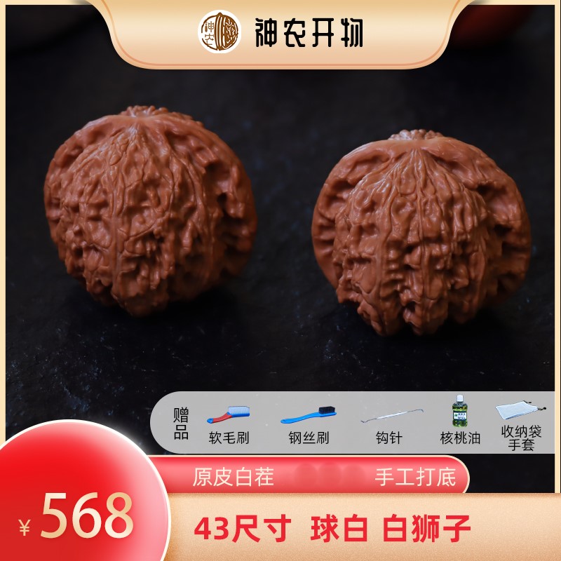 【神农精选】白狮子43尺寸大球白狮子头