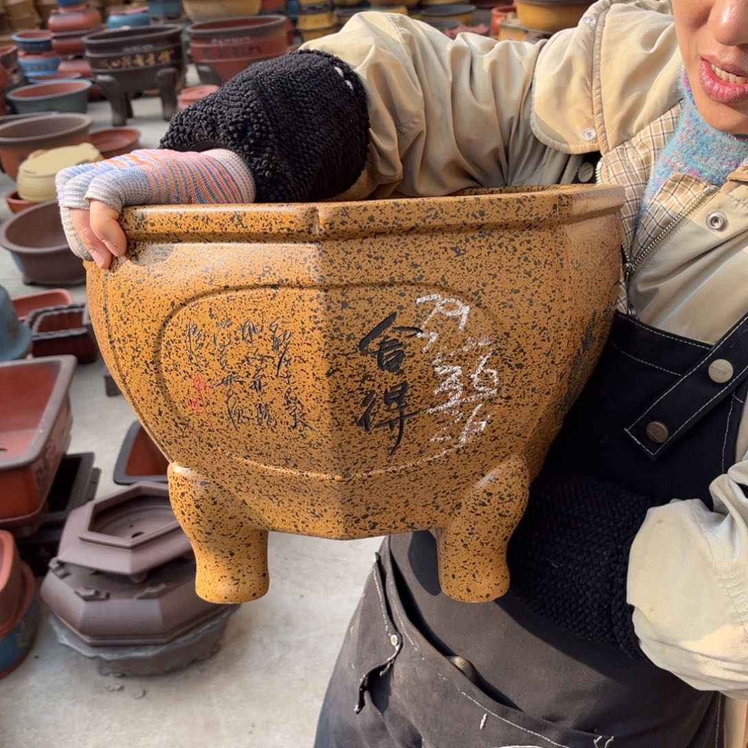 紫砂花盆盆景艺术