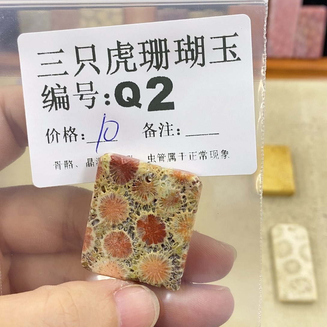 硅化珊瑚（珊瑚玉）1未镶嵌没****哈