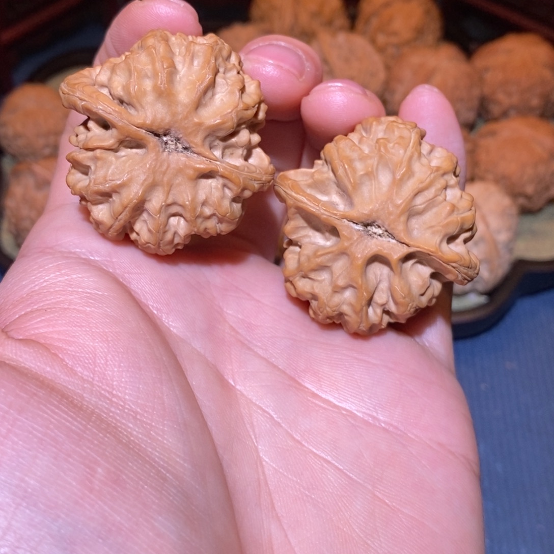 41尺 全品白茬 梨木台