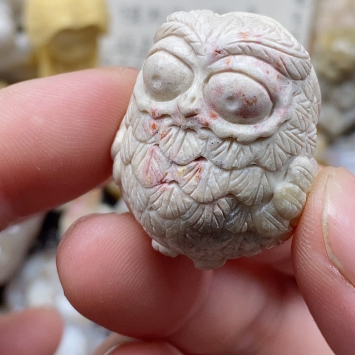 颈饰未镶嵌硅化珊瑚（珊瑚玉）