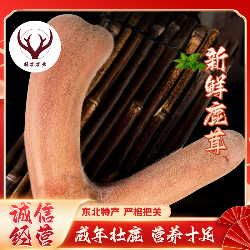 专谊鹿梅花鹿头茬二杠 泡酒煲汤 可切连刀可配礼盒