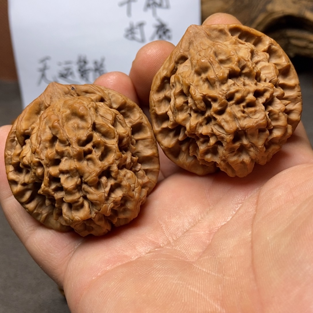 把件文玩核桃龙鼎