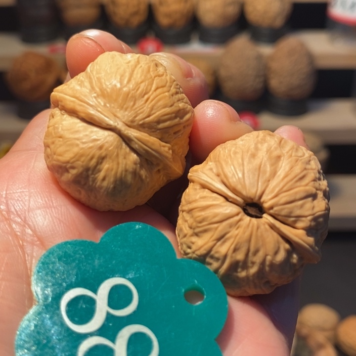 跳***母木质类金豆子31尺寸