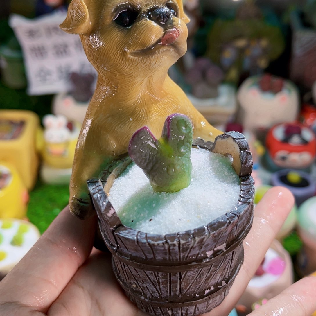 02皮卡丘连盆带土包邮