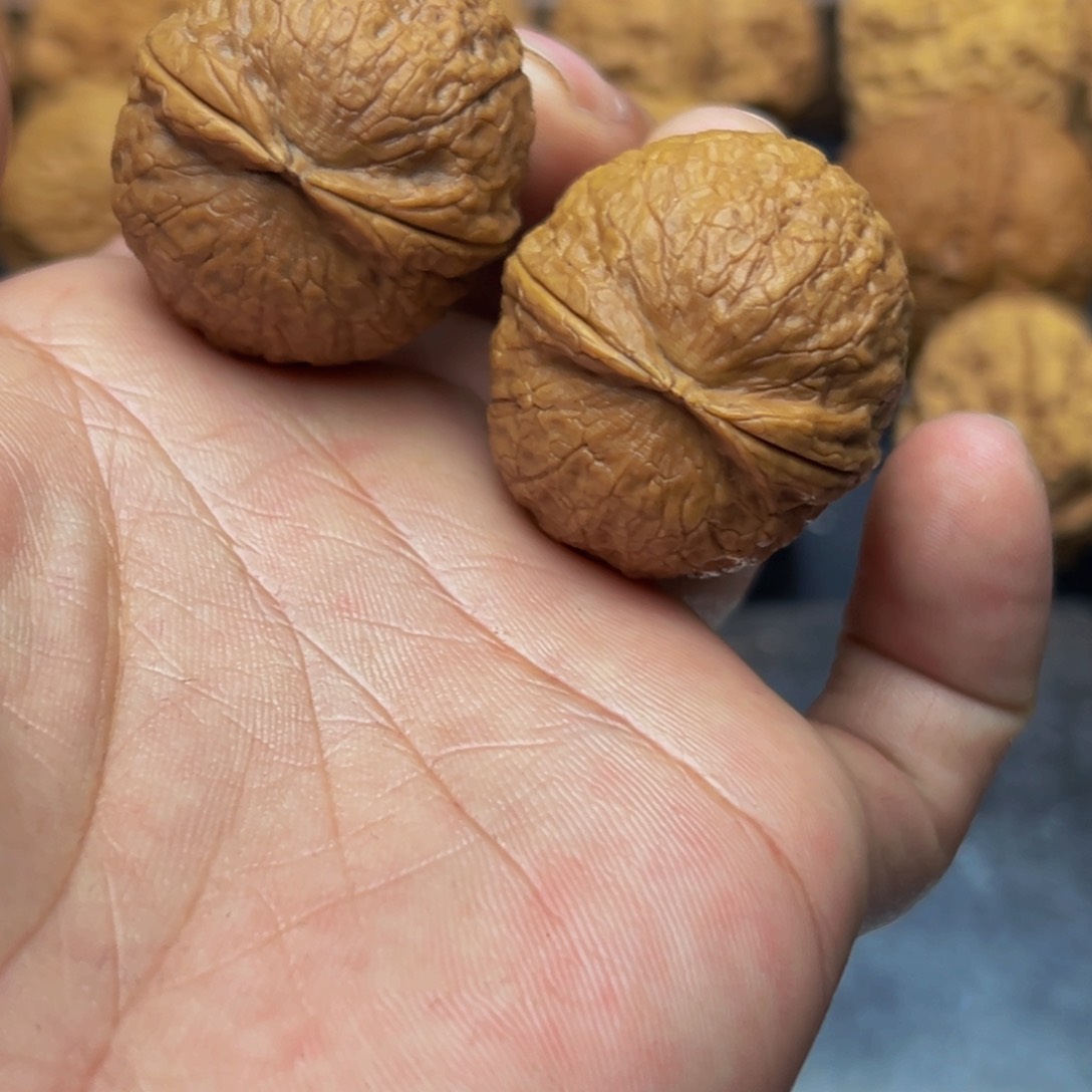 34尺寸网红小西瓜 一物一图