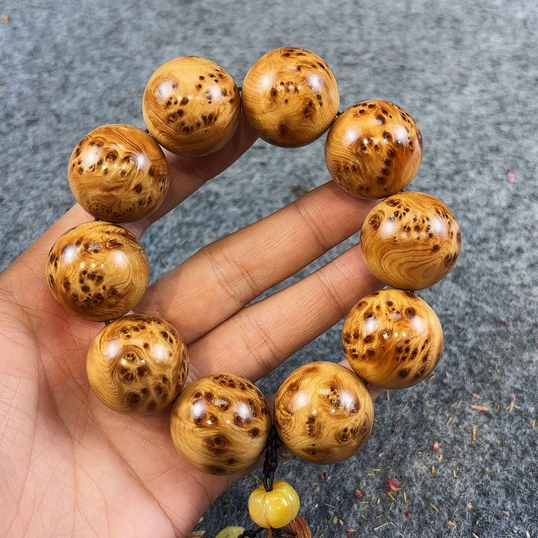 *****崖柏太行崖柏精品榴花2.5