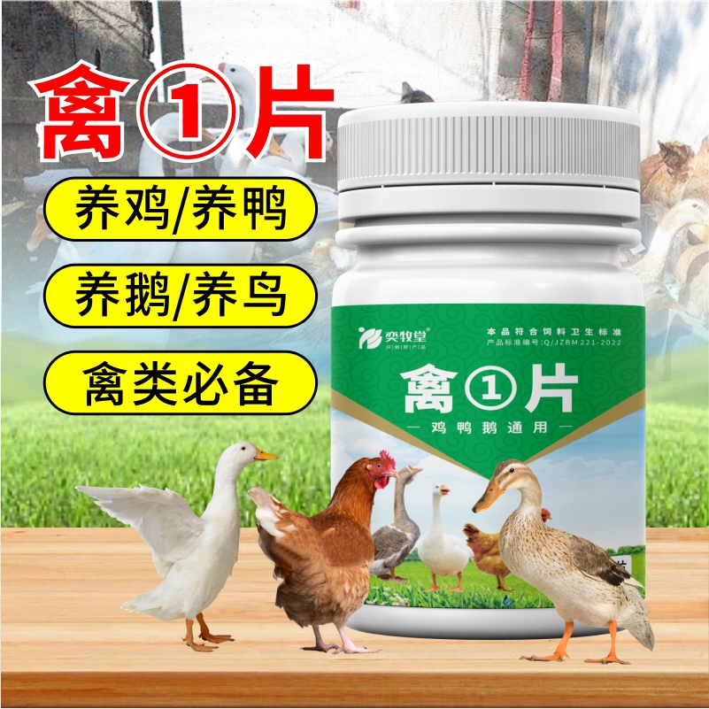 奕牧堂【禽一片】鸡鸭鹅鸽子鹌鹑禽类养殖通用饲料添加剂厂家直销商品图