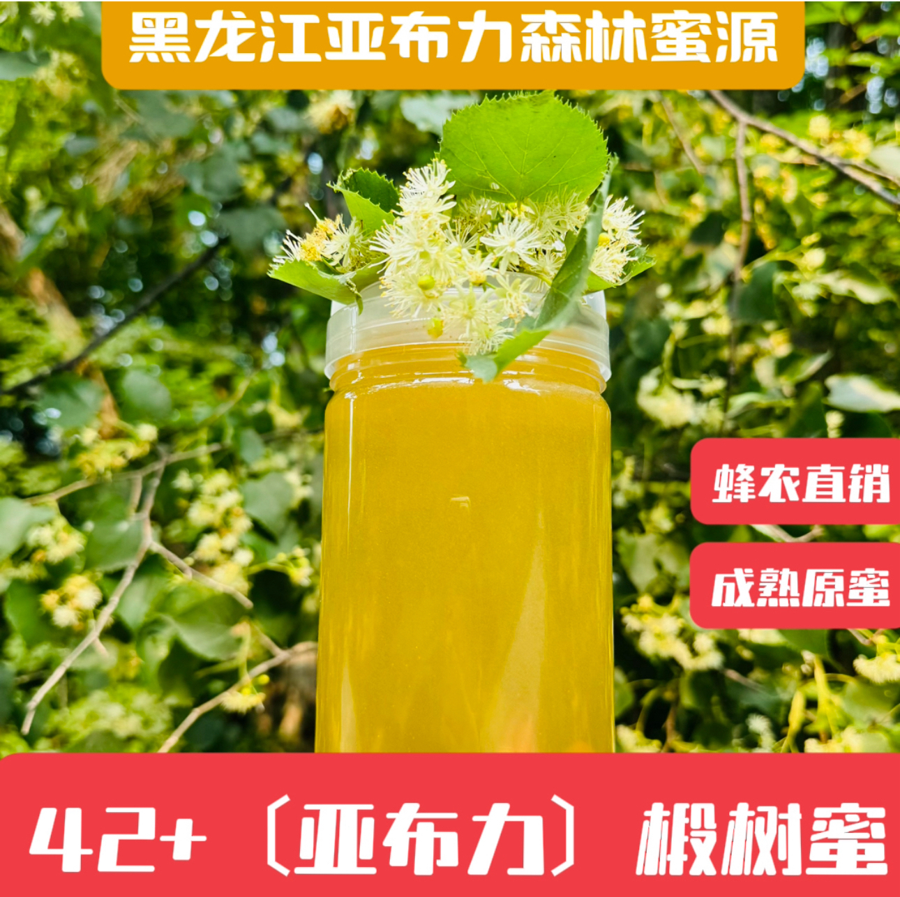 〔东北椴树蜜〕亚布力椴树蜜 椴树蜜原蜜东北椴树蜜 自产自销成熟蜜