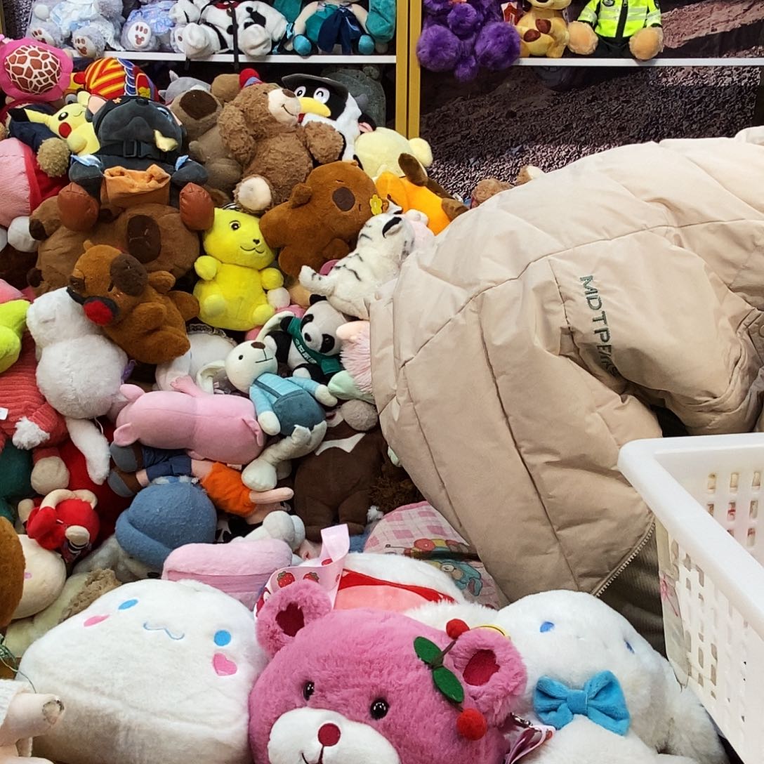 毛绒奋****菜毛绒玩具122