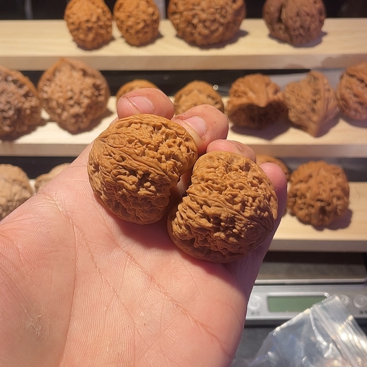 全品39南疆石1111