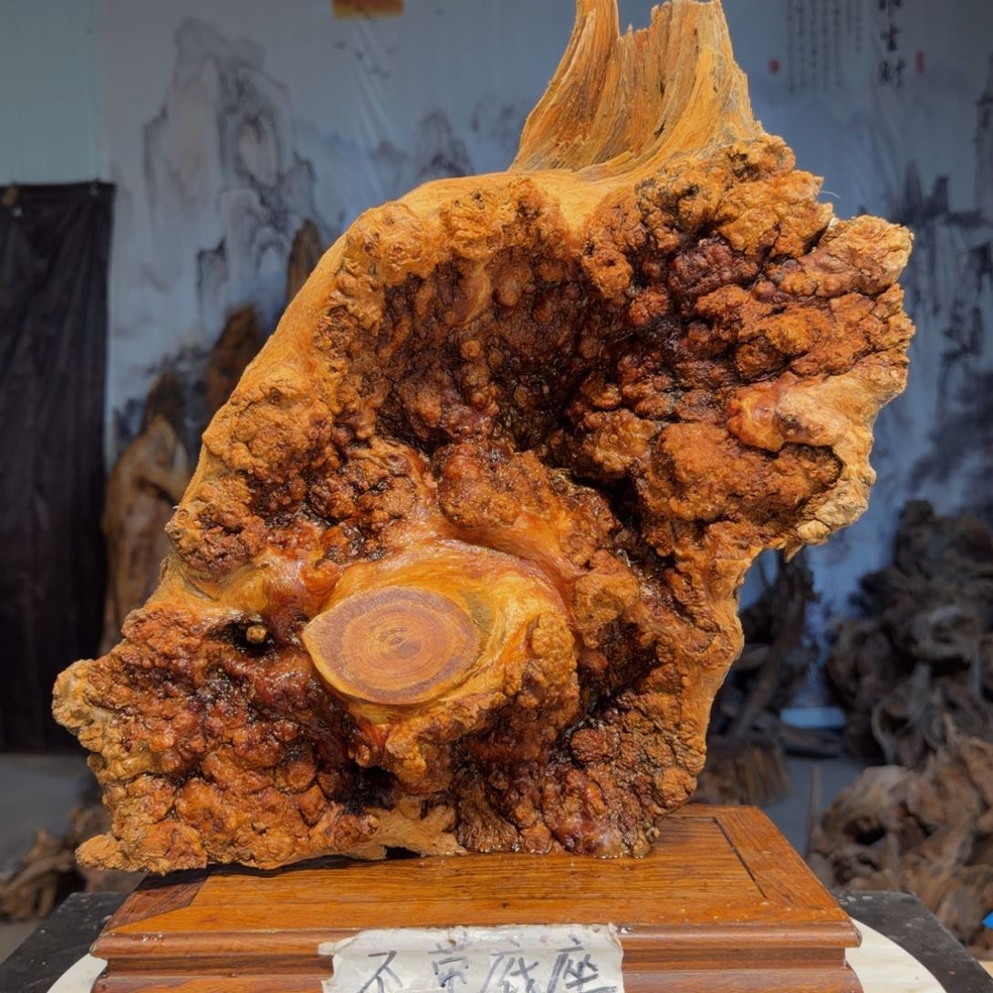 都***下木三丰琥珀木 天然摆件86