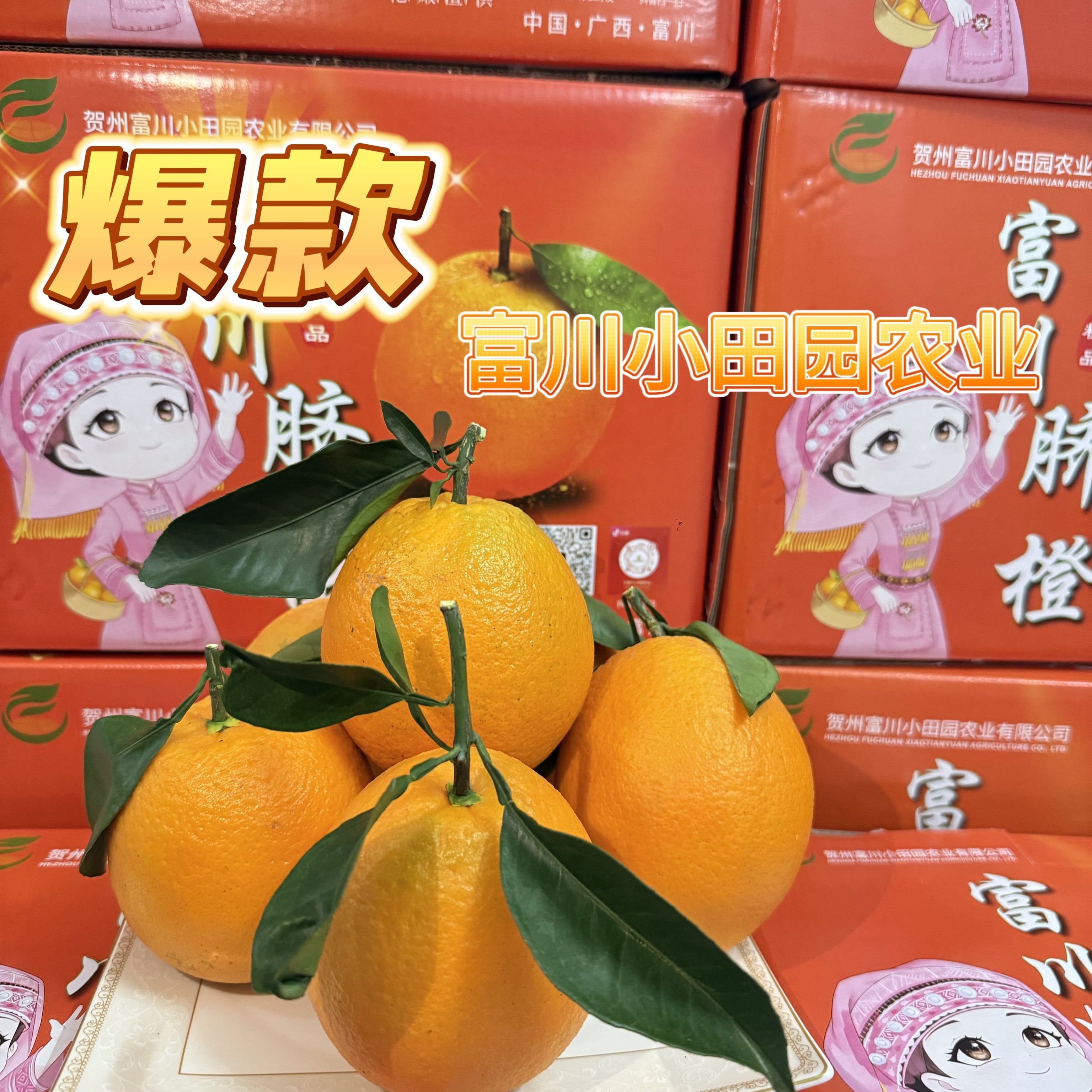 正宗广西富川脐橙新鲜水果现摘现发爆甜多汁新鲜采摘产地直发包邮