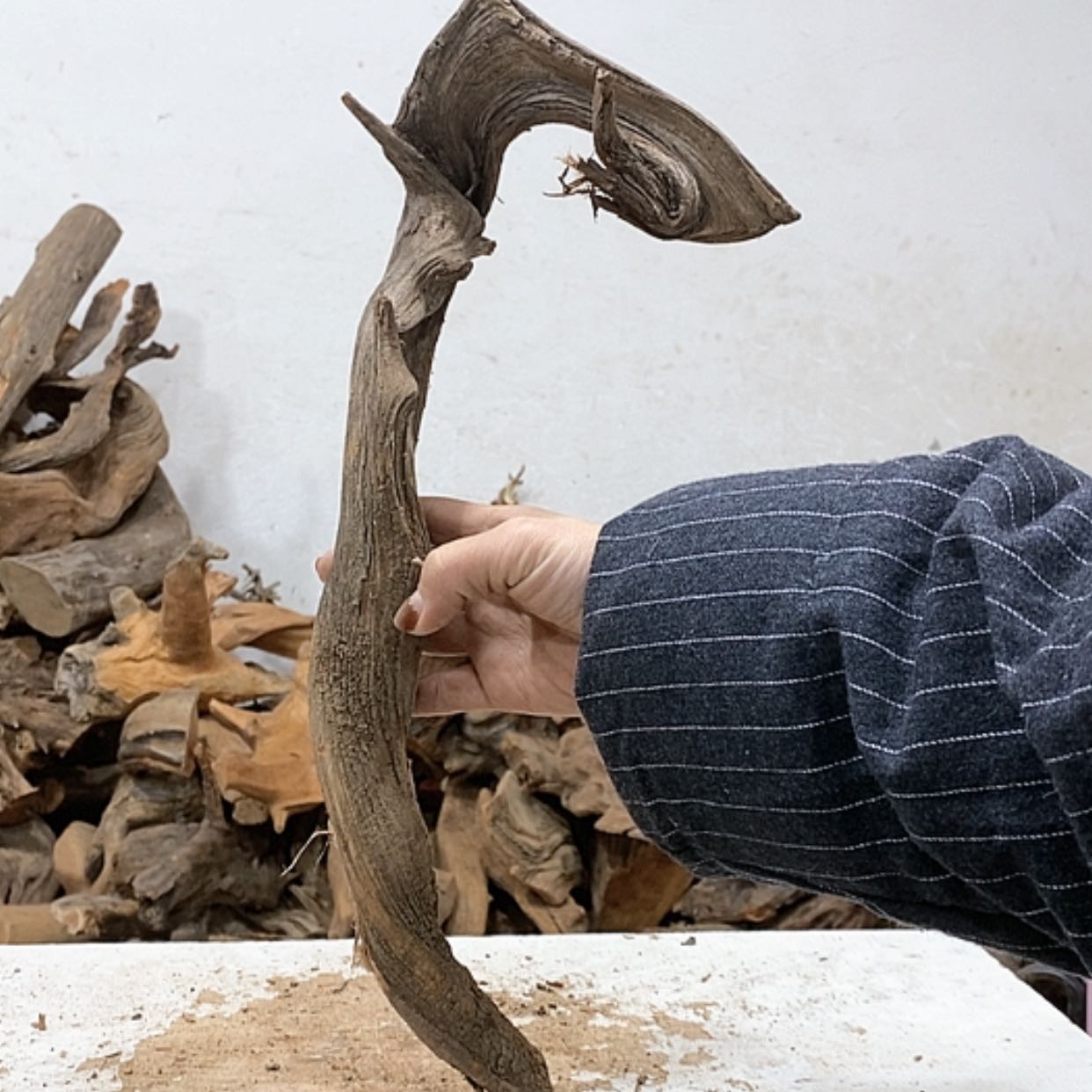 【闪购商品】柏木山**秀我们都是好孩子