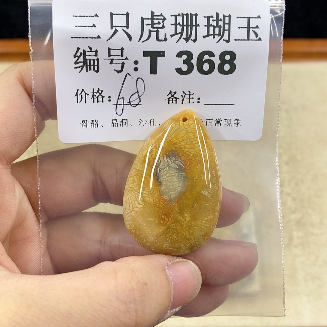 硅化珊瑚（珊瑚玉）1未镶嵌元*