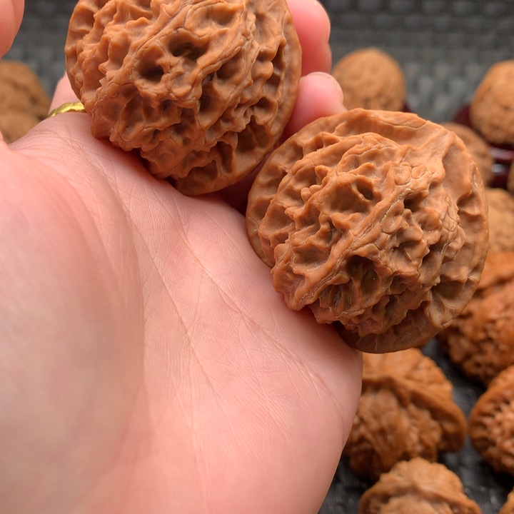 小****界43山地苹果园狮子头