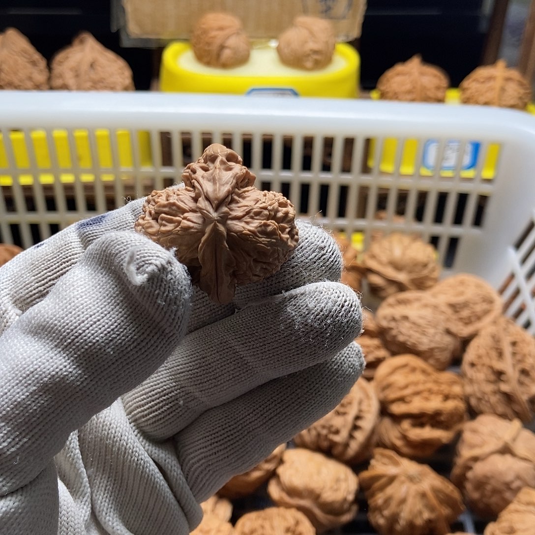 七***里文玩核桃吊坠白狮子角