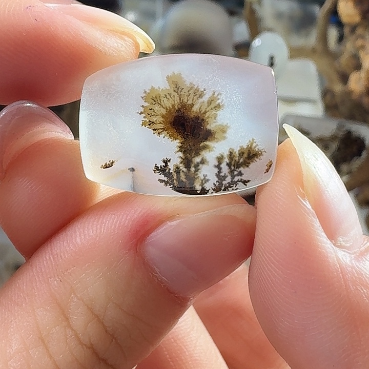 玛瑙/玉髓未镶嵌珠宝奇石