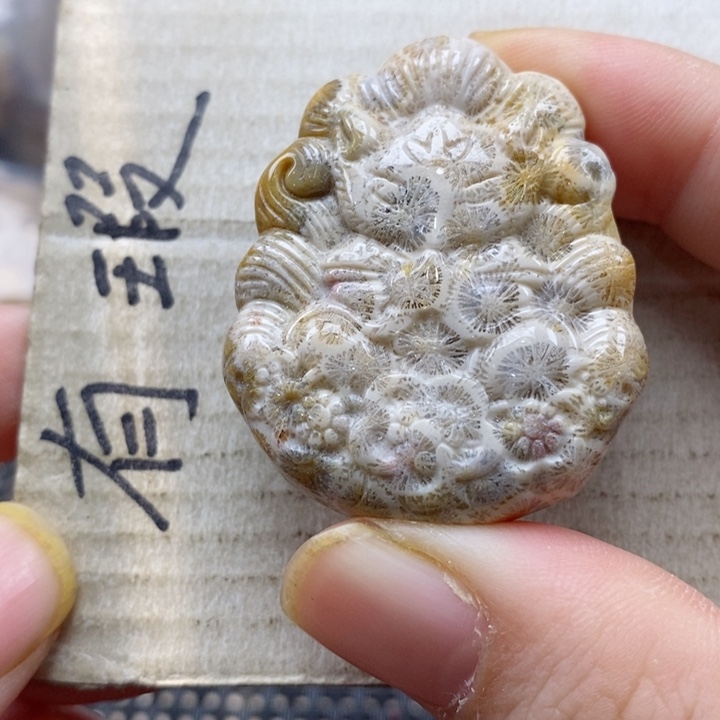 硅化珊瑚（珊瑚玉）颈饰未镶嵌