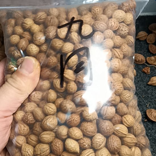 ****月桃核吊坠野生山桃核圆核15元2斤随机发