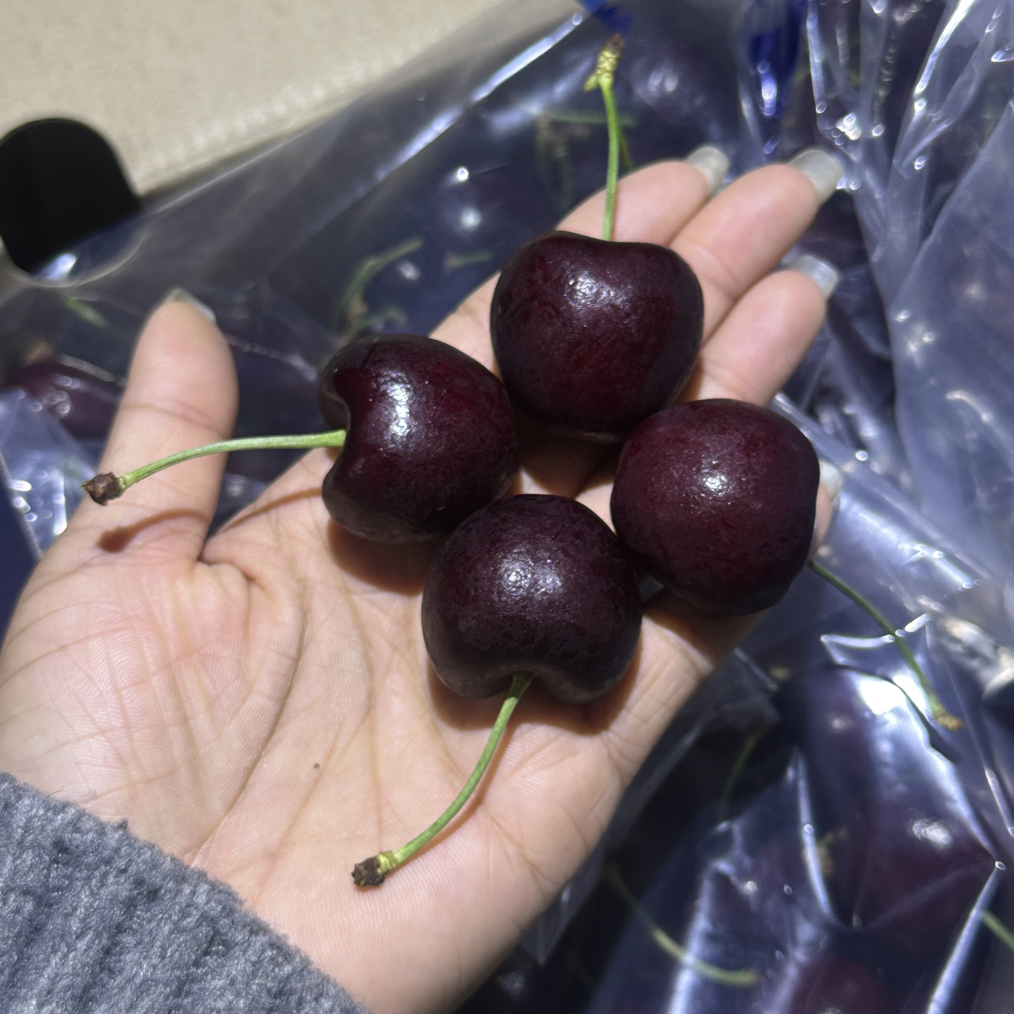 智利海运桑提娜车厘子3JD2.5KG同城配送智利