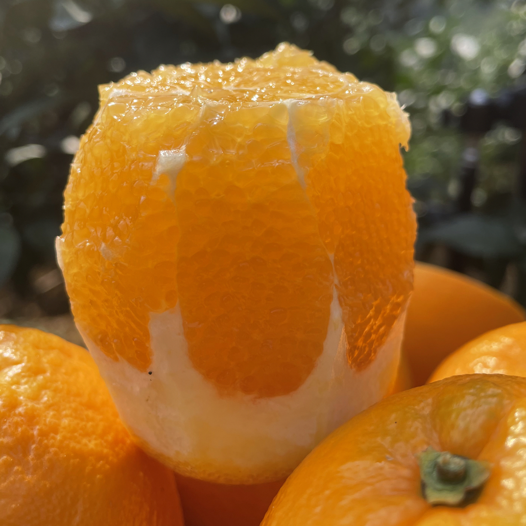 （京东/顺丰）赣南脐橙新鲜水果现摘现发爆甜多汁