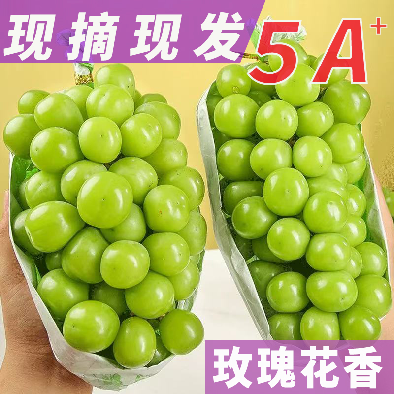 产地直发玫瑰青提阳光玫瑰葡萄无籽新鲜水果整箱