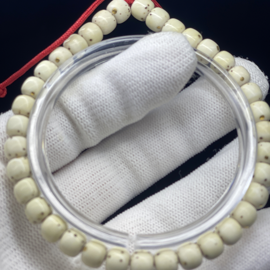 海南星月菩提 原生态数星星7/6