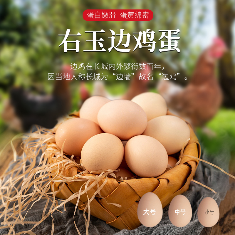 【右玉边鸡蛋】土鸡蛋新鲜现发4.5斤装（50枚.单枚4.5-5克左右）