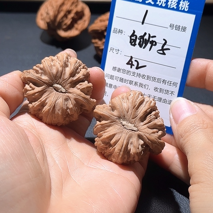 文玩核桃把件42白狮子1