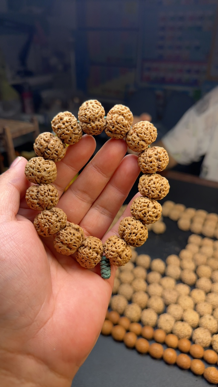 梁，梅花金刚菩提（2号）