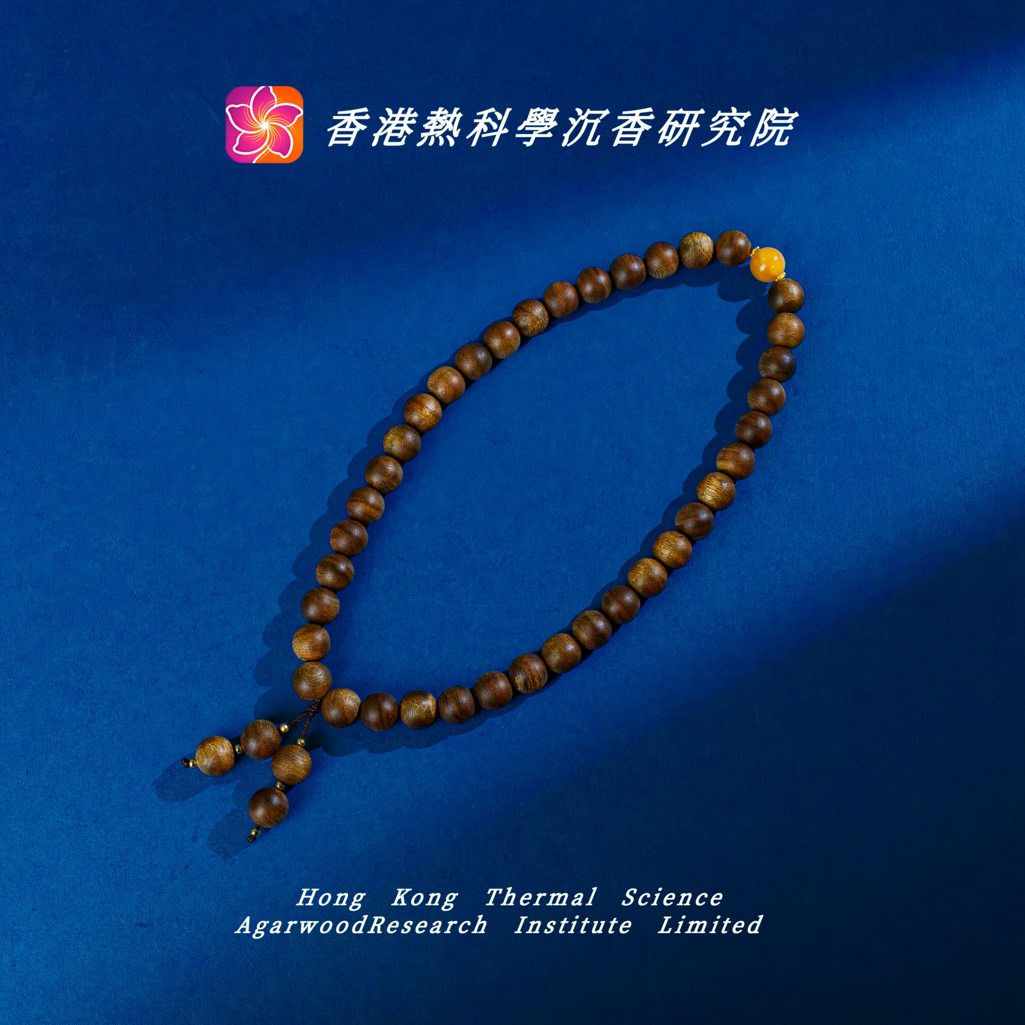 沉香【热科学研究院】富国岛倒架1.0双圈