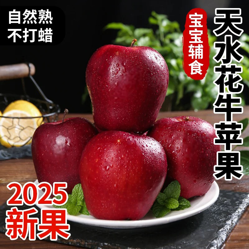 甘肃天水花牛苹果红蛇果新鲜脆甜粉面两吃适合老人孩子
