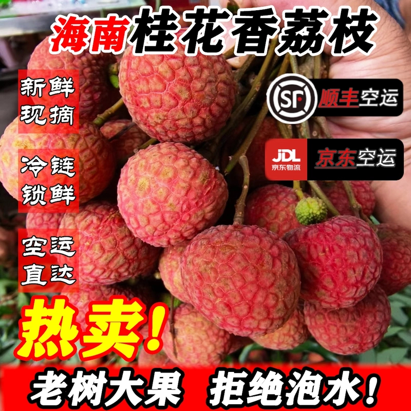 3【京东空运直发】助农海南桂花香送礼5斤桂花香荔枝新鲜应季水果