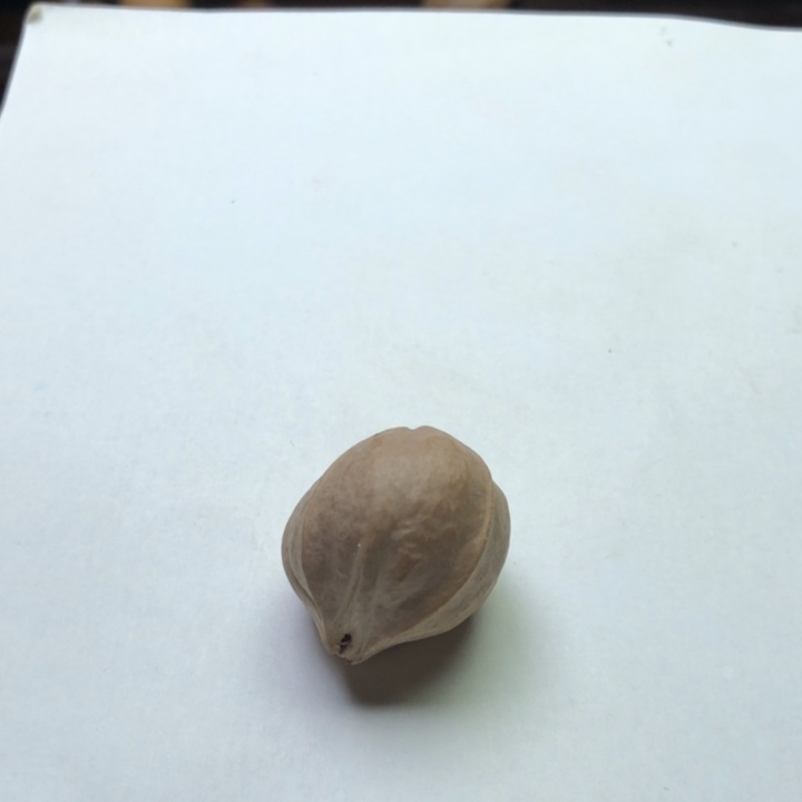 橄榄核手串奋**前梅林铁核21 X23