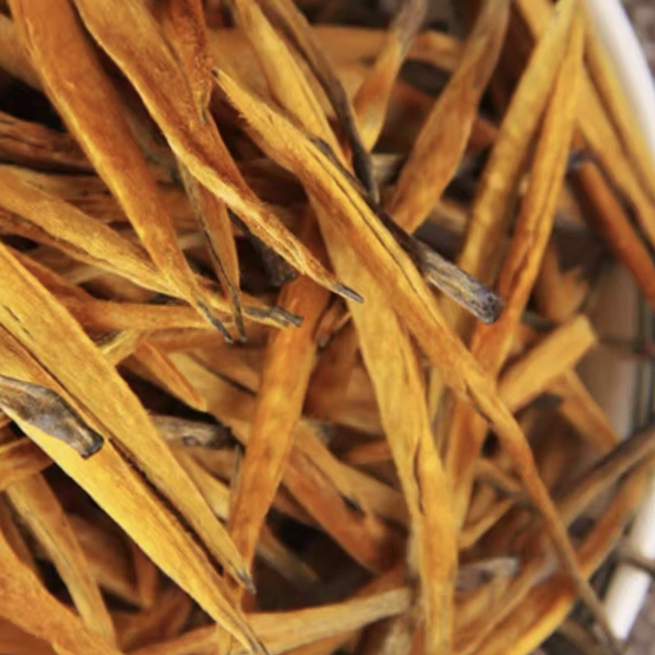 云南古树芽尖滇红《大金针》