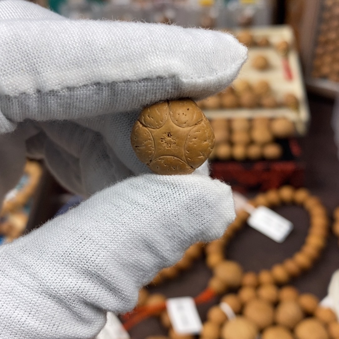 吊坠凤眼菩提17.1五星单颗