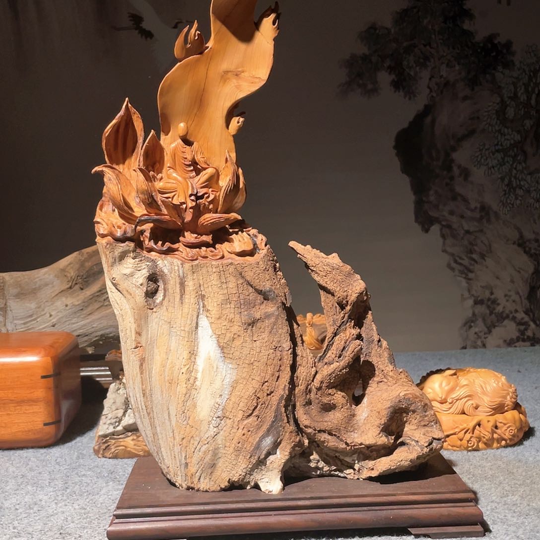 柏木（崖柏）太行崖柏