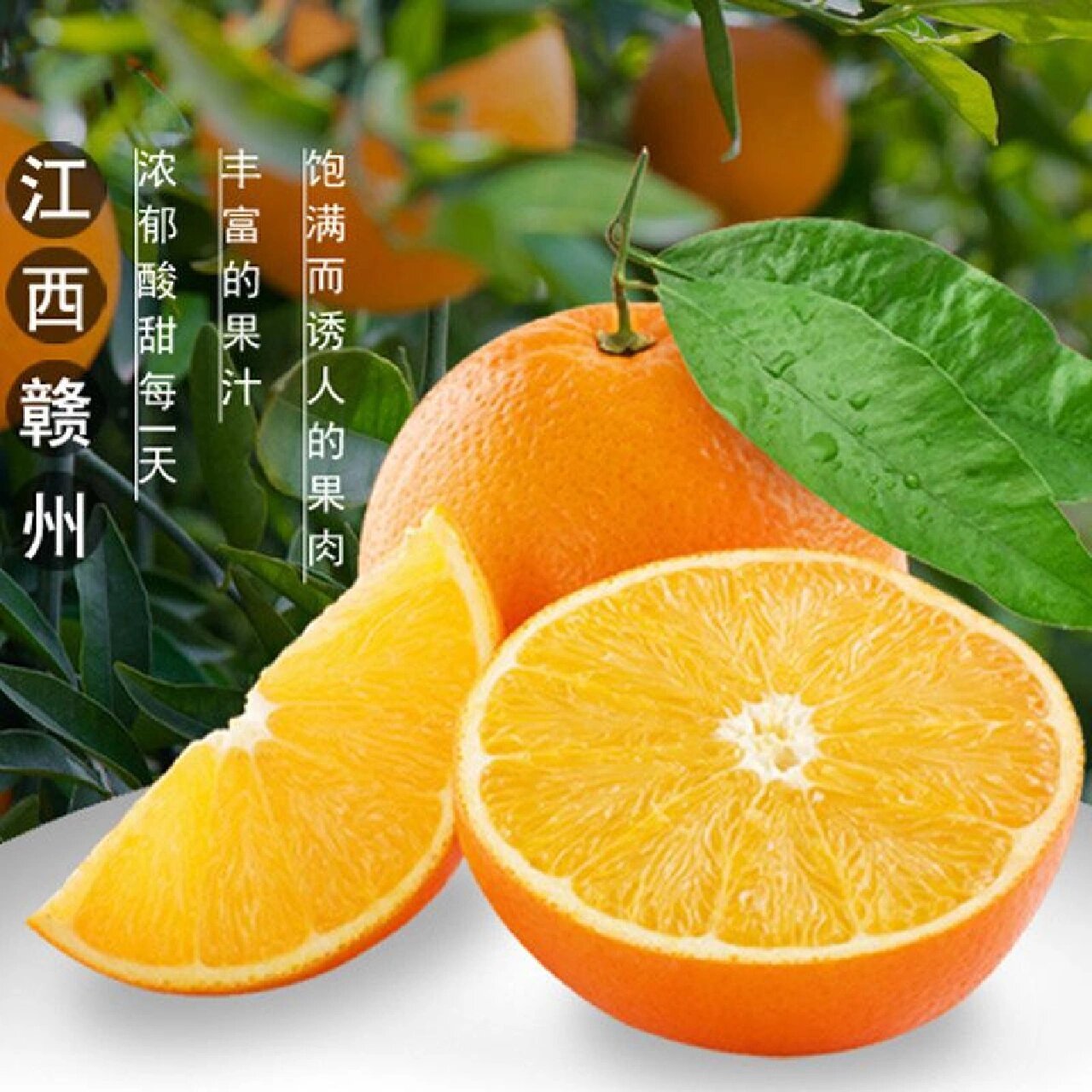赣南脐橙【年货节补贴】