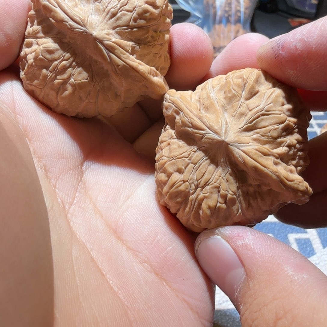 文玩核桃把件南瓜